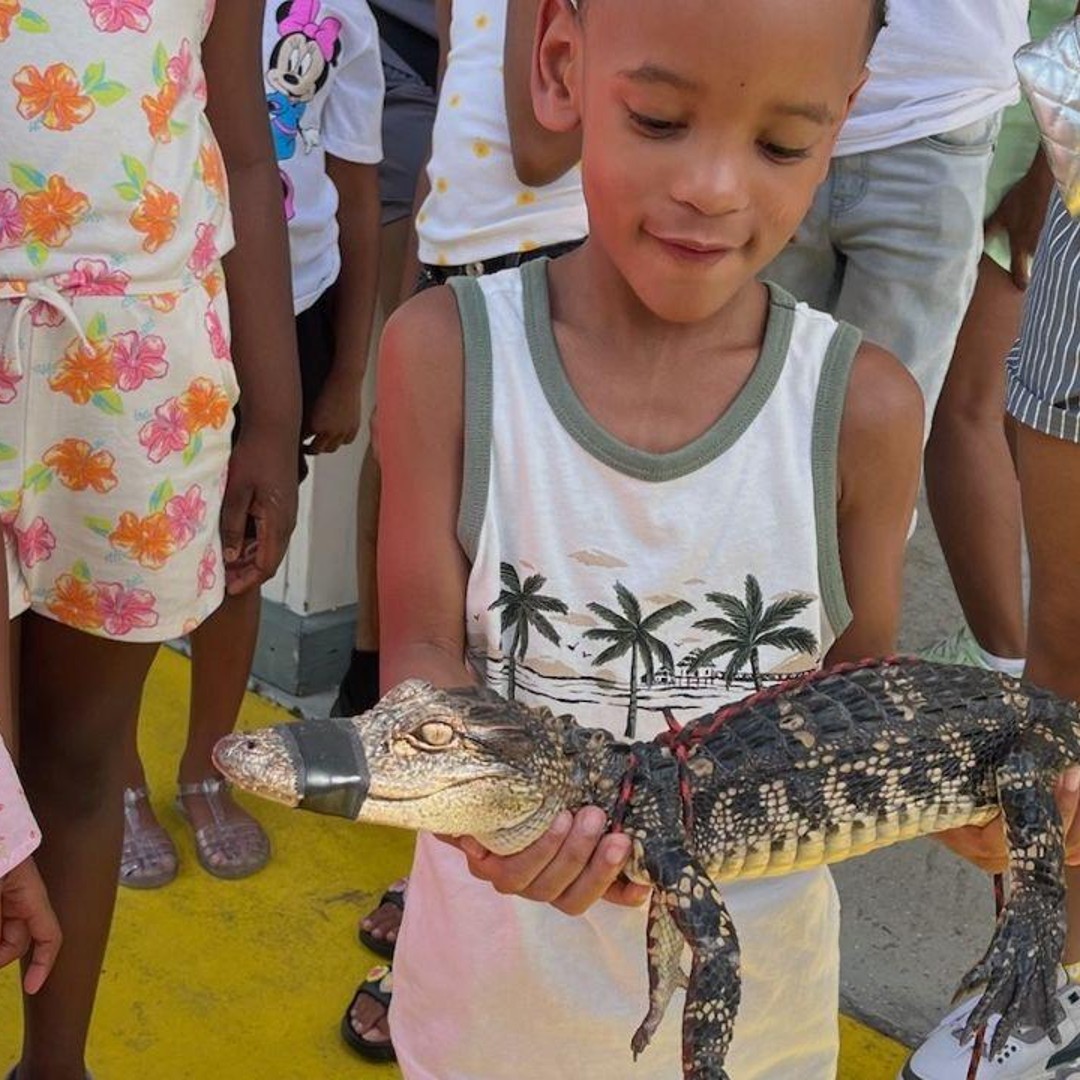 Colagem de mídia