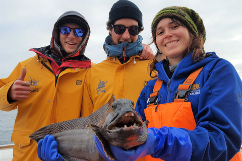 Icelandic Mer Pêche à partir de ReykjavikPêche en mer islandaise de Reykjavik