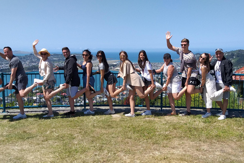 Wellington : Visite guidée des points forts de la ville avec montée en téléphérique