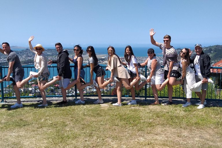 Wellington: City Highlights Guided Tour with Cable Car Ride