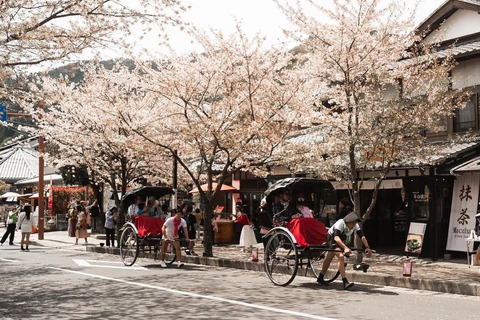 Kyoto: Private Tour with Nara included and English Driver