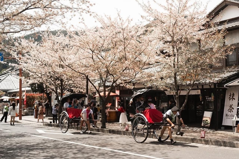 Kyoto: Private Tour with Nara included and English Driver