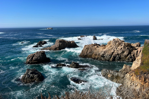 Från San Francisco: Privat rundtur i Carmel, Monterey och Big Sur