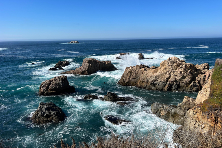 Från San Francisco: Privat rundtur i Carmel, Monterey och Big Sur