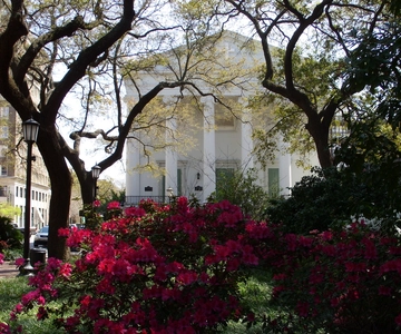 Savannah: Historic District Overview on Foot