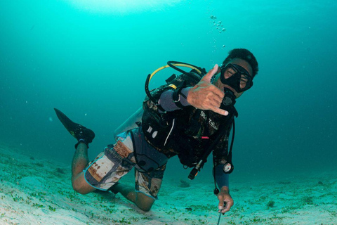 El Nido: Descobre o mergulho com raias-manta em Sibaltan