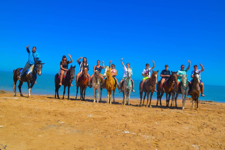Sahl Hasheesh: Desert & Sea Horse Ride with Transfers