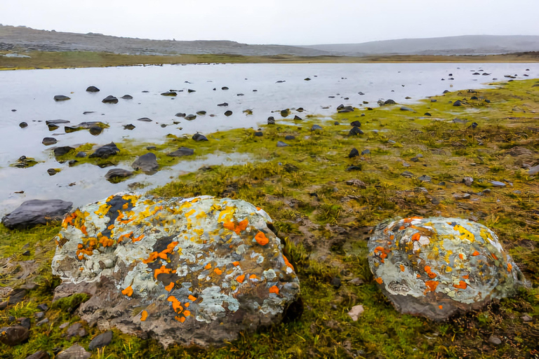 5-dniowa wycieczka do Parku Narodowego Bale i gór