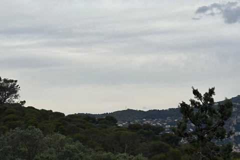 Nice by Quad: Electric quad bike adventure with exclusive views Nice: Quiet Electric Quad Bike with Exclusive Views