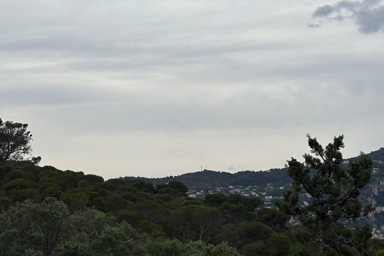 Nice by Quad: Electric quad bike adventure with exclusive views Nice: Quiet Electric Quad Bike with Exclusive Views