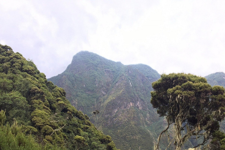 Rwanda 1 Day Mount Sabyinyo Hiking Adventure