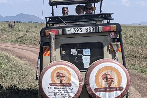 Moshi: 2-Day Lake Manyara and Ngorongoro Safari with Lodging