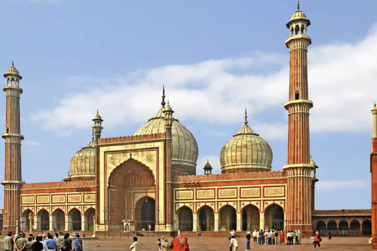 From Delhi: 4-Day Agra, Ranthambore & Jaipur Guided Tour Tour with 4-Star Accommodation