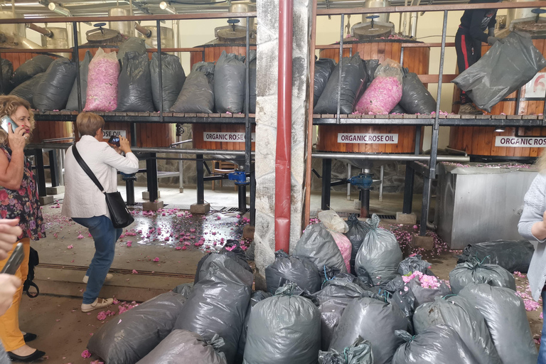 2026 Kazanlak Rose Festival Group Tour Accommodation in triple rooms