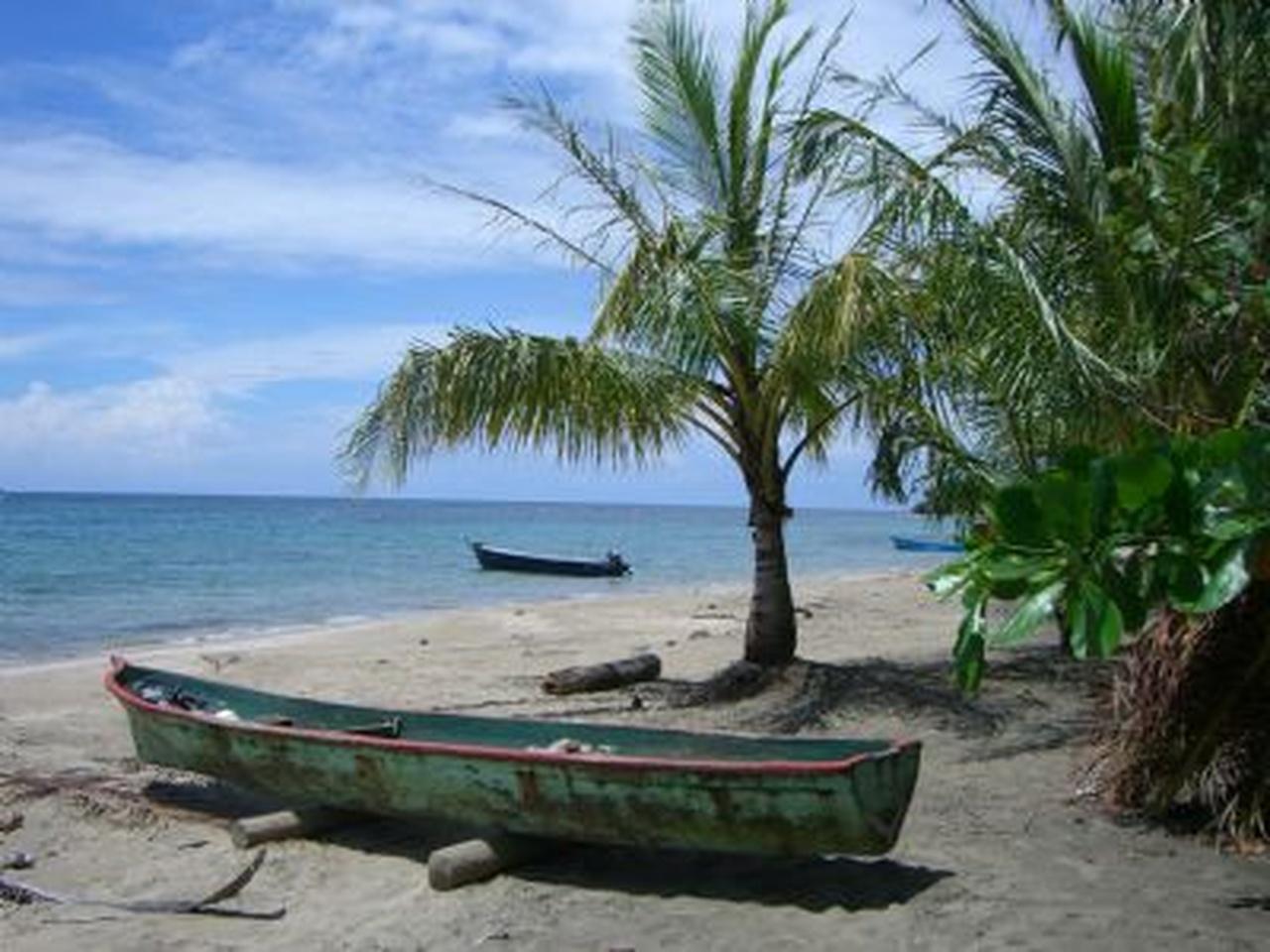 Ab SJO: Transfer nach Manzanillo mit Zwischenstopp in Punta Manzanillo