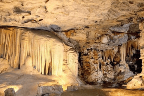 Journey to the Cradle of Humankind