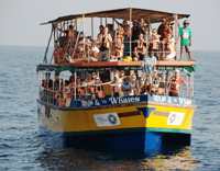 Mirissa Whale Watching Tour met gratis ontbijt aan boord - Hizvo