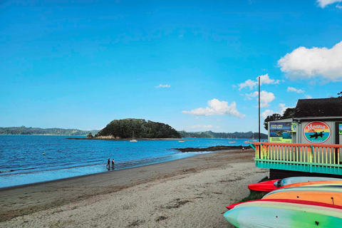 Bahía de las Islas - MiniexcursiónBahía de las Islas - Mini tour