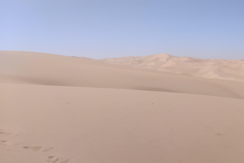 Walvis Bay: Sandwich Harbour Half-Day 4x4 Tour