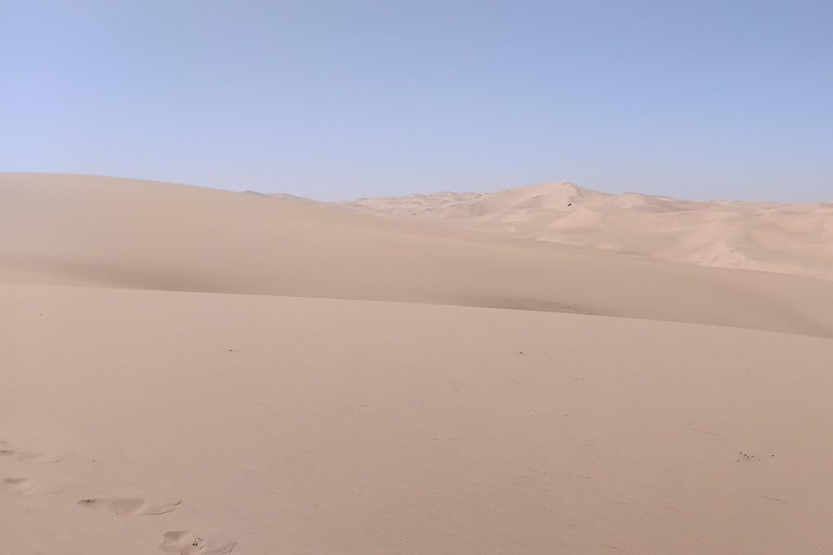 Walvis Bay: Sandwich Harbour Half-Day 4x4 Tour