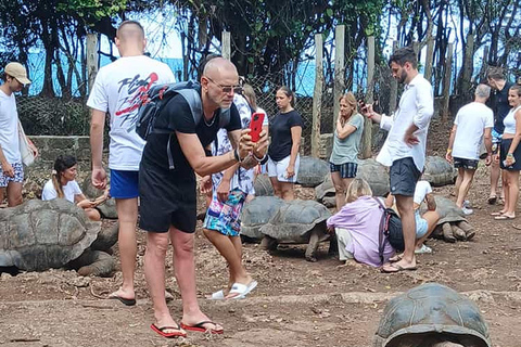 Mombasa: Met de auto giraffen voeren in Haller Park.