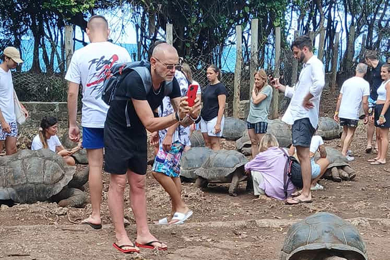 Zanzibar: Tour privato di mezza giornata di Prison Island.