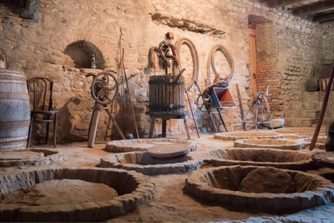 Tbilisi Wine Museum Tour & Tasting Experience