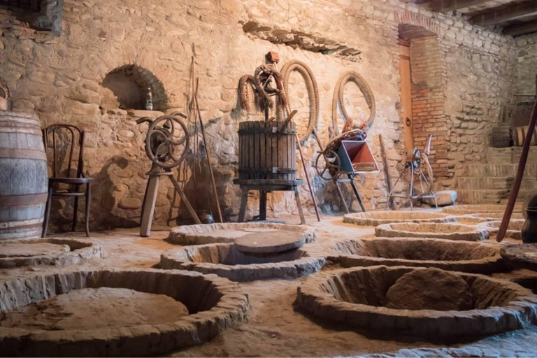 Tbilisi Wine Museum Tour & Tasting Experience