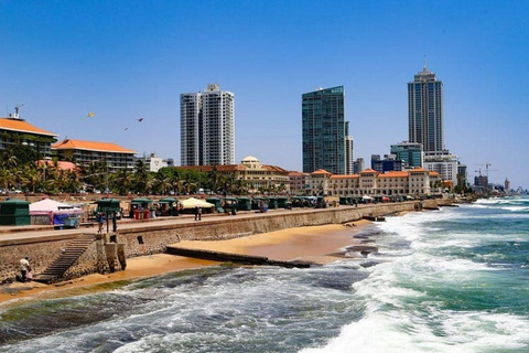 Colombo: Gangaramaya Temple and City Highlights Tour