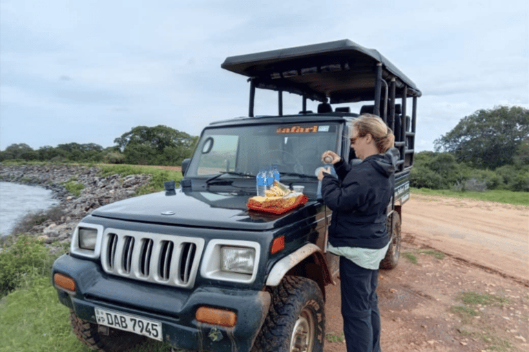 Ella: Udawalawa Safari & Drop to Tangalle/Mirissa/Weligama