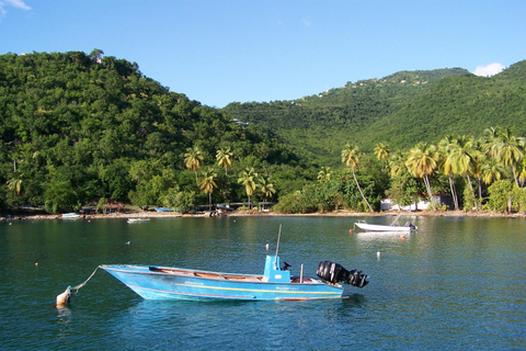 Pointe-à-Pitre: Rundvandring med guide och upphämtning