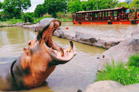 Shanghai : Billet pour le parc des animaux sauvages