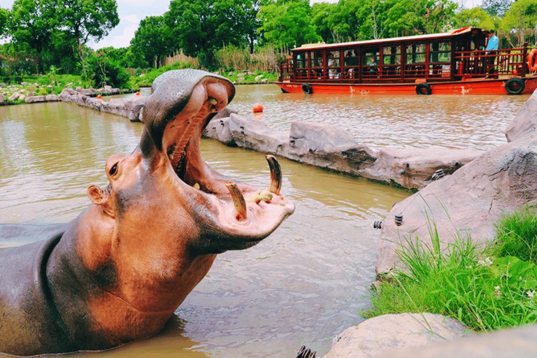 Shanghai: Ticket de entrada al Parque de Animales Salvajes