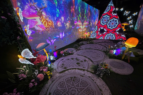 Hanoi: X Space Immersive Digital Art Experience Entry Ticket