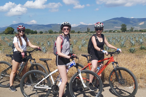 Oaxaca : La Culebra - Hierve el Agua 1 journée.Prix à partir de 8 personnes