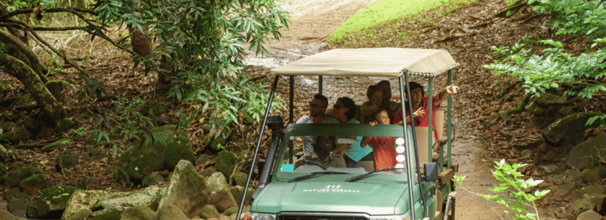 Ile Maurice : Aventure safari 4x4 dans la réserve naturelle de Bel Ombre