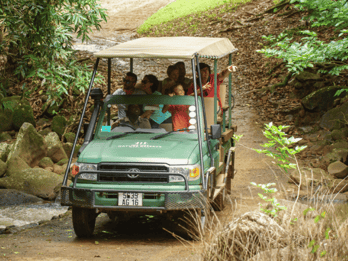 Mauritius: äventyr med 4x4-safari i naturreservatet Bel Ombre