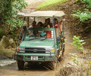 Mauritius: riserva naturale di Bel Ombre 4x4 Safari Adventure