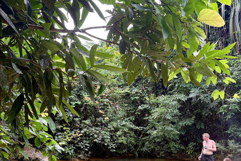 Langkawi Jungle Trekking &amp; Live Cooking Adventure