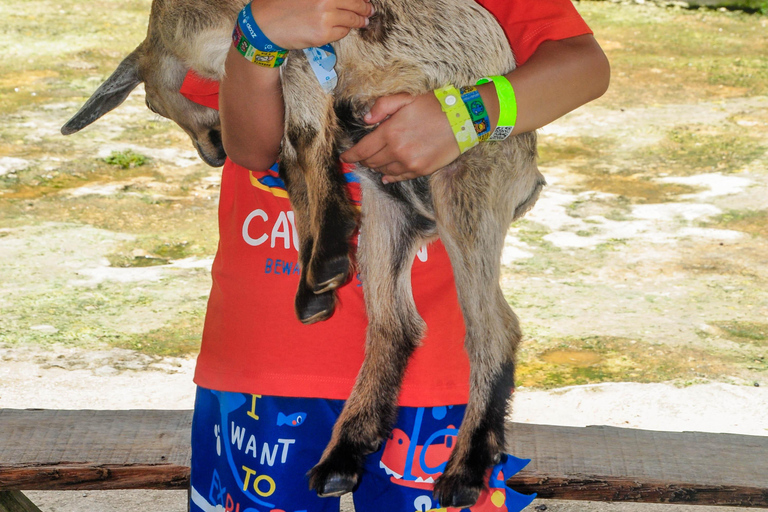 Punta Cana: Monkey Sanctuary, Farm & Cenote Swim Combo