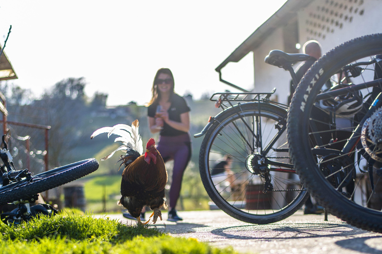 Marija Bistrica: E-bikes to the Wineries of Zlatar City