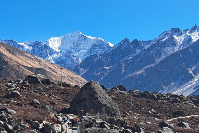 Da Pokhara: trekking economico di 7 giorni nella valle di LangtangDa Pokhara: trekking di 7 giorni nella valle del Langtang