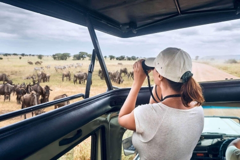 13 jours de safari au Mont Kilimandjaro, au Serengeti, au Ngorongoro et au Tarangire