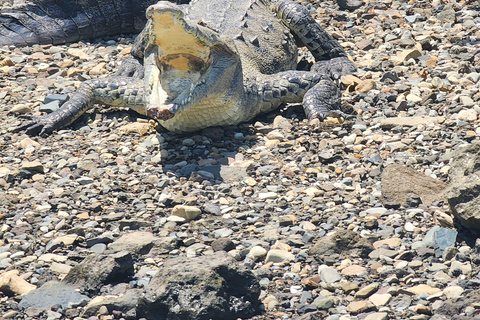 Tour por el canal de Panamá, las nuevas esclusas y la isla de los monosDesde Westin o Dreams Playa Bonita