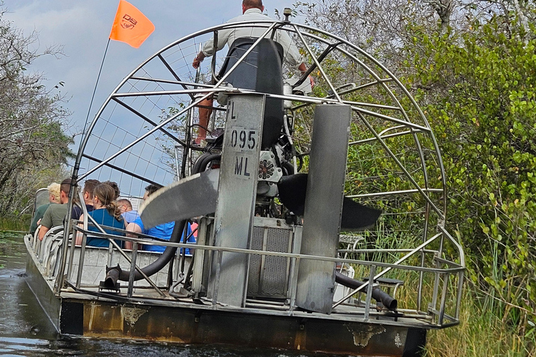 Everglades: passeio de barco com transporte e entrada incluídos