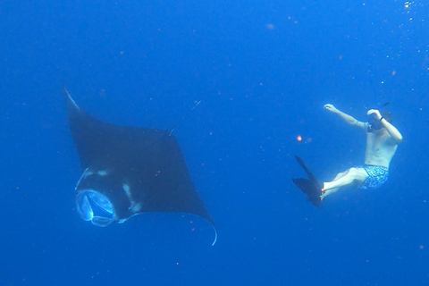 Nusa Penida: Snorkling båttur med Manta Rays