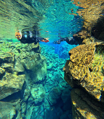 From Reykjavík: Silfra Snorkeling with free photos