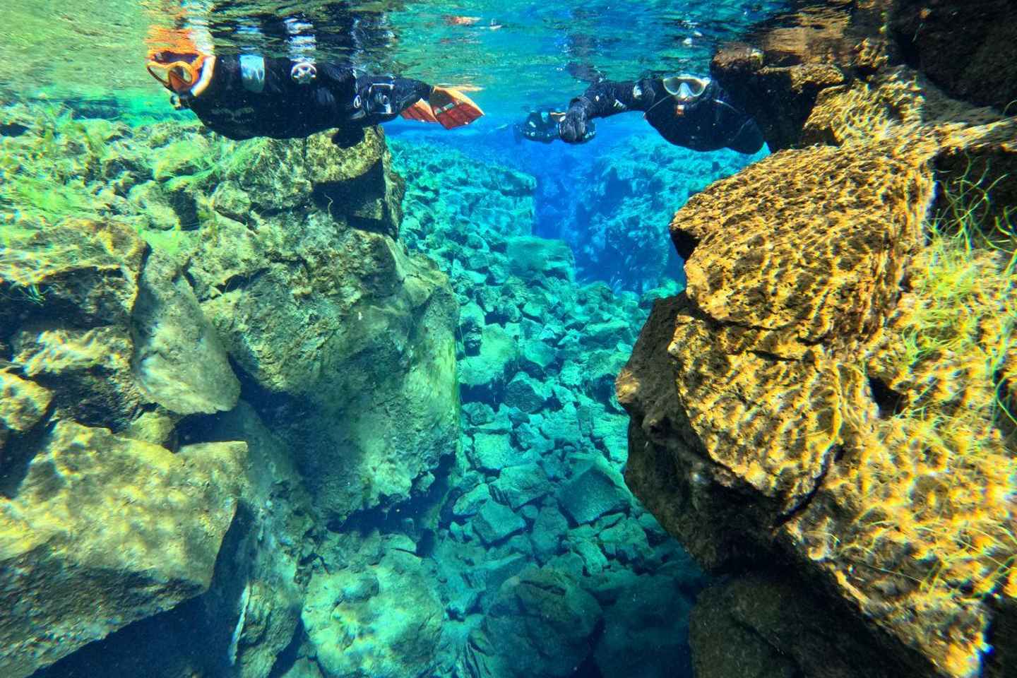 From Reykjavk: Silfra Snorkeling with free photos - Silfra Snorkeling - Transfer from Reykjavík included