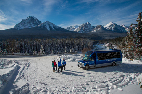 Von Banff aus: Lake Louise Halbtagestour im Winter