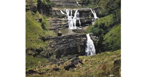 Von Kandy nach Nuwara Eliya: geführte Tagestour mit einem Einheimischen